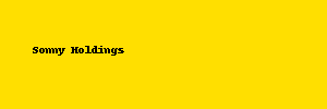 Sonny Holdings Logo